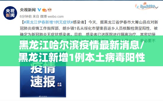 黑龙江哈尔滨疫情最新消息/黑龙江新增1例本土病毒阳性感染者