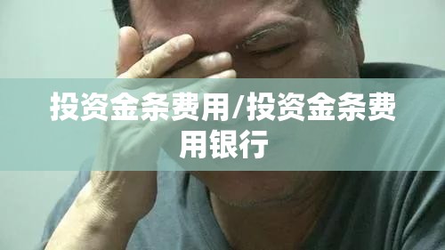 投资金条费用/投资金条费用银行 投资金条费用/投资金条费用银行