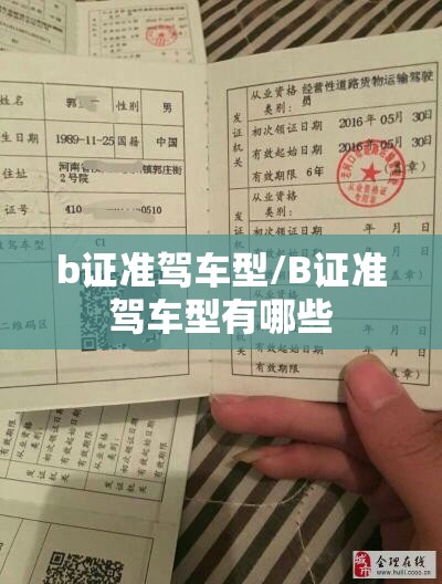 b证准驾车型/B证准驾车型有哪些 b证准驾车型/B证准驾车型有哪些