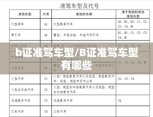b证准驾车型/B证准驾车型有哪些 b证准驾车型/B证准驾车型有哪些