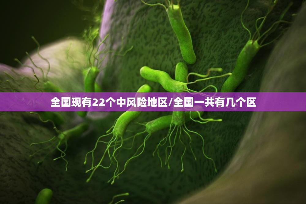 全国现有22个中风险地区/全国一共有几个区 全国现有22个中风险地区/全国一共有几个区