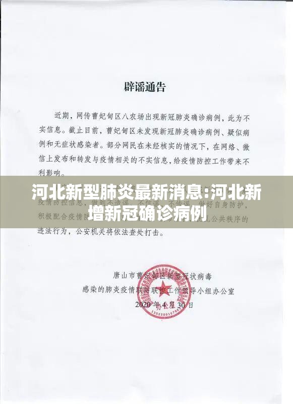河北新型肺炎最新消息:河北新增新冠确诊病例 河北新型肺炎最新消息:河北新增新冠确诊病例