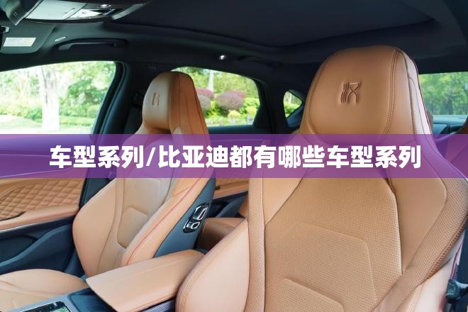 车型系列/比亚迪都有哪些车型系列 车型系列/比亚迪都有哪些车型系列