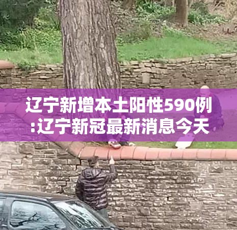 辽宁新增本土阳性590例:辽宁新冠最新消息今天 辽宁新增本土阳性590例:辽宁新冠最新消息今天