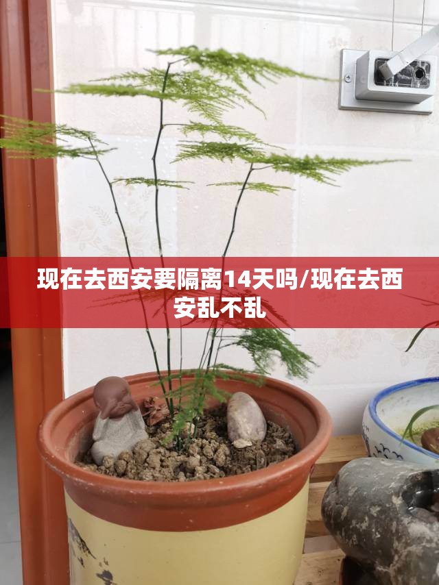 现在去西安要隔离14天吗/现在去西安乱不乱 现在去西安要隔离14天吗/现在去西安乱不乱