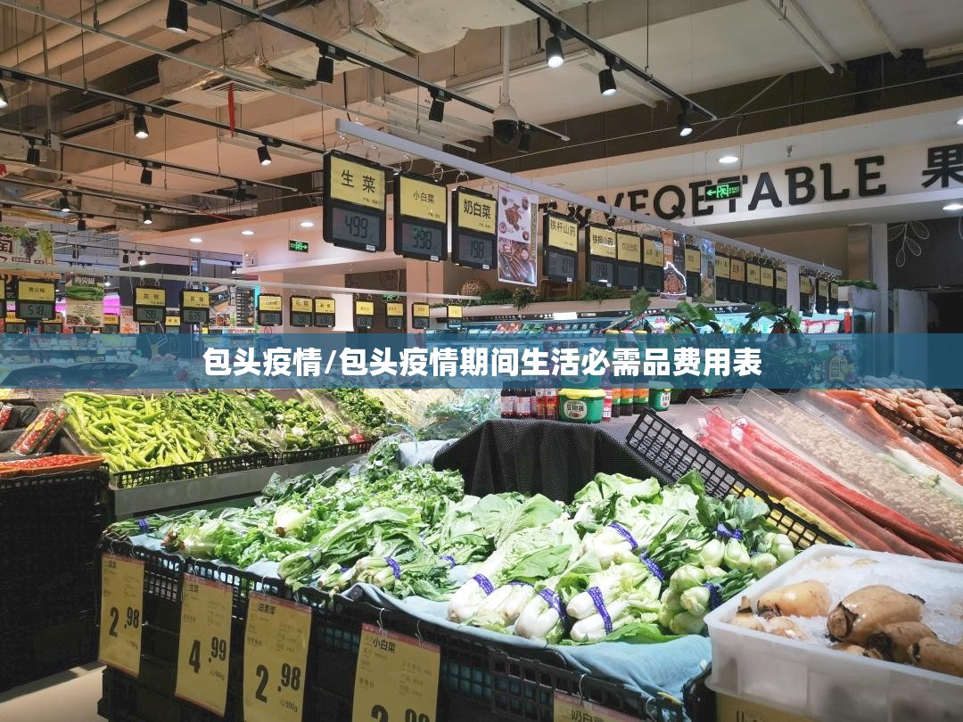 包头疫情/包头疫情期间生活必需品费用表