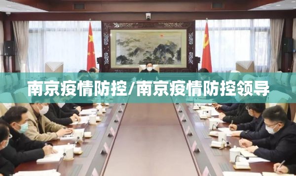 南京疫情防控/南京疫情防控领导 南京疫情防控/南京疫情防控领导