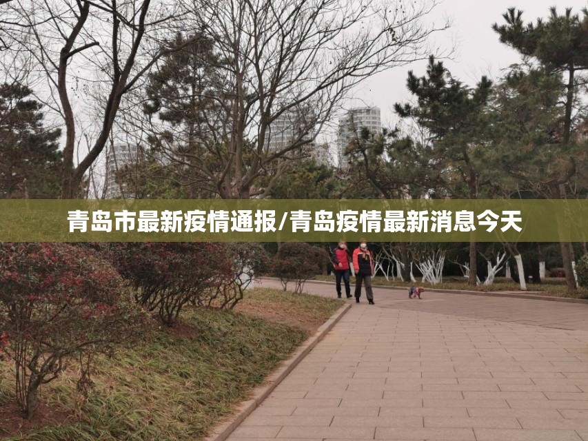 青岛市最新疫情通报/青岛疫情最新消息今天 青岛市最新疫情通报/青岛疫情最新消息今天