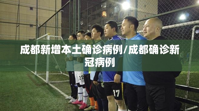 成都新增本土确诊病例/成都确诊新冠病例