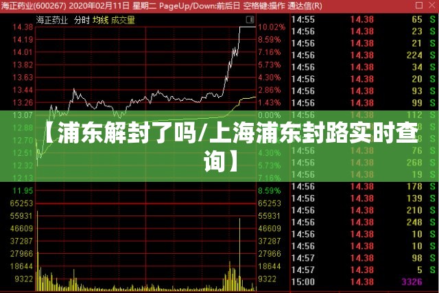 【浦东解封了吗/上海浦东封路实时查询】