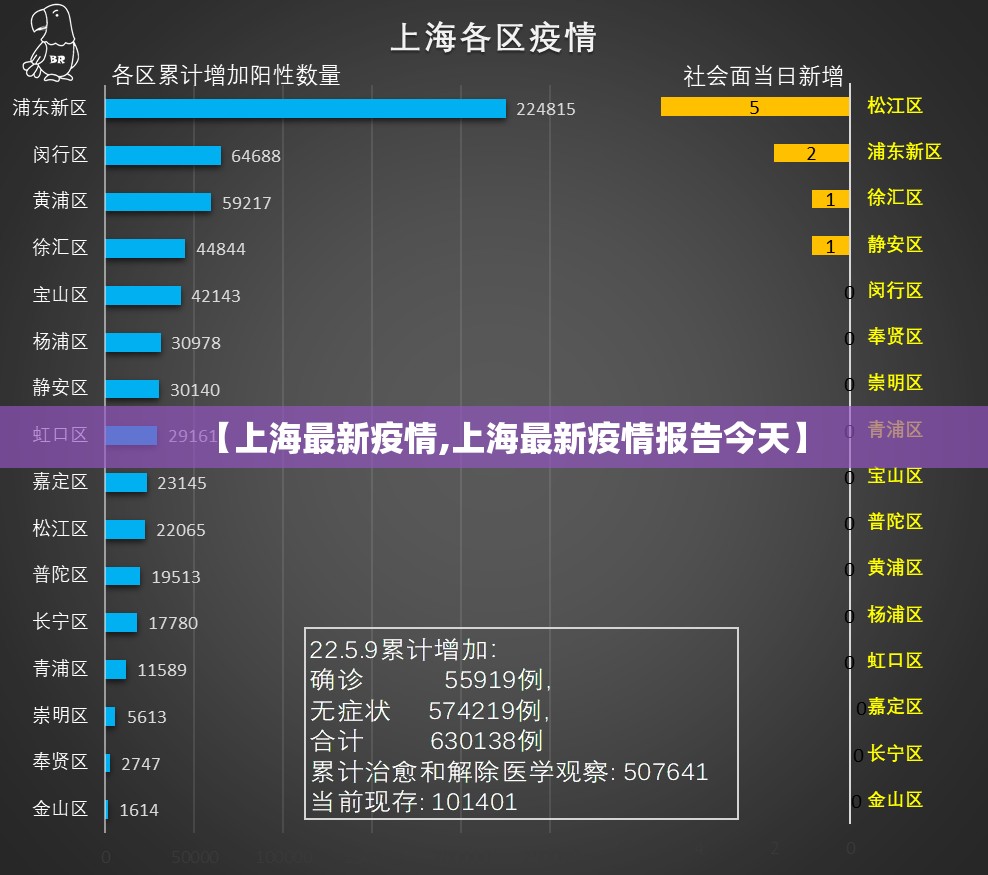 【上海最新疫情,上海最新疫情报告今天】 【上海最新疫情,上海最新疫情报告今天】