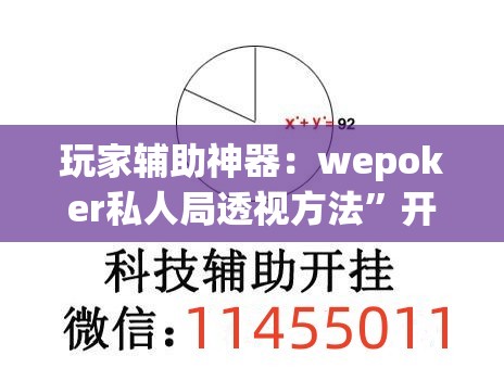 玩家辅助神器：wepoker私人局透视方法	”开挂详细教程