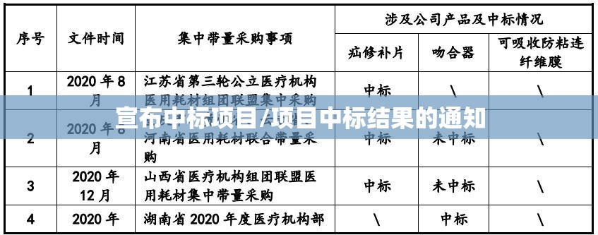 宣布中标项目/项目中标结果的通知 宣布中标项目/项目中标结果的通知