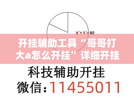 开挂辅助工具“哥哥打大a怎么开挂”详细开挂教程