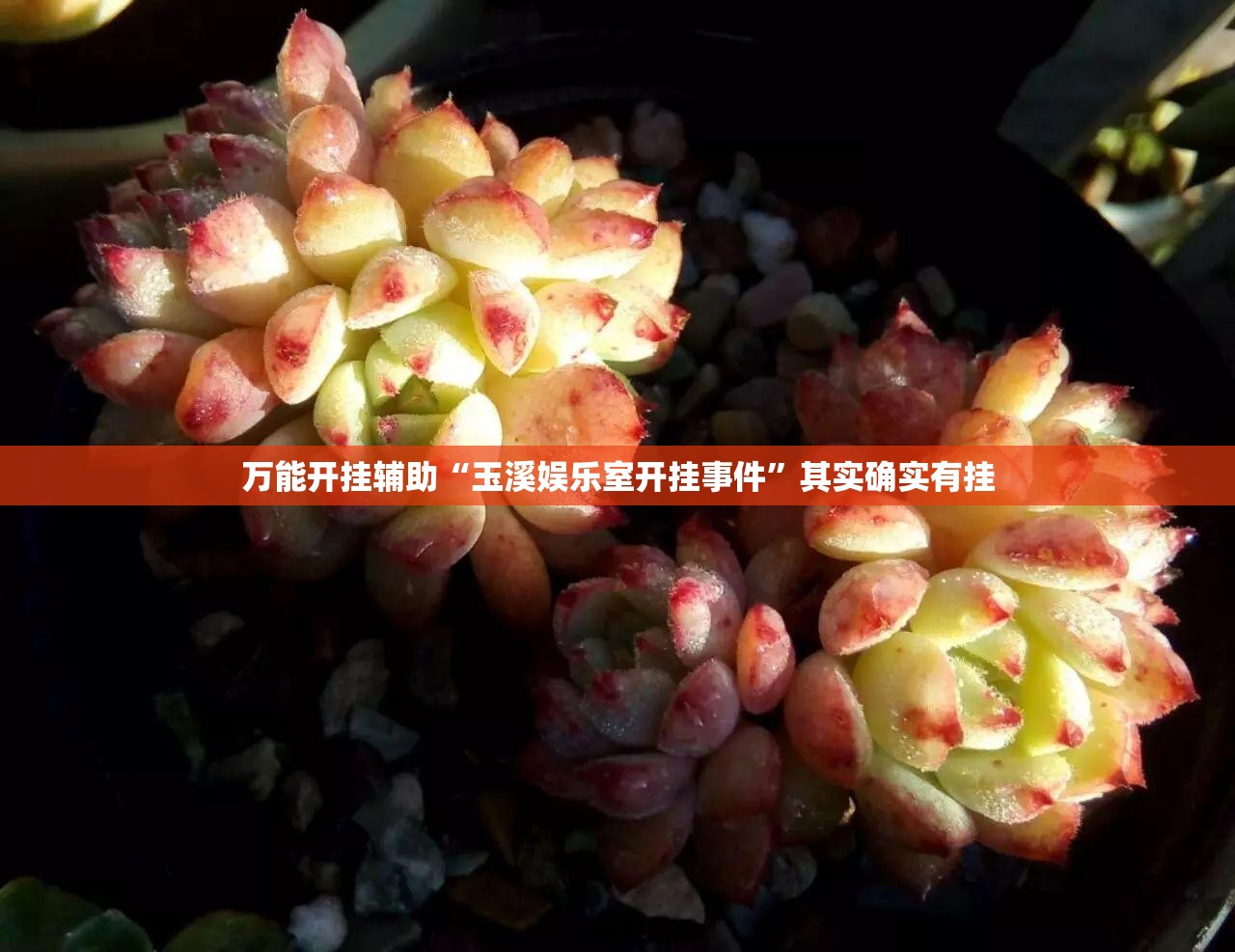 万能开挂辅助“玉溪娱乐室开挂事件”其实确实有挂