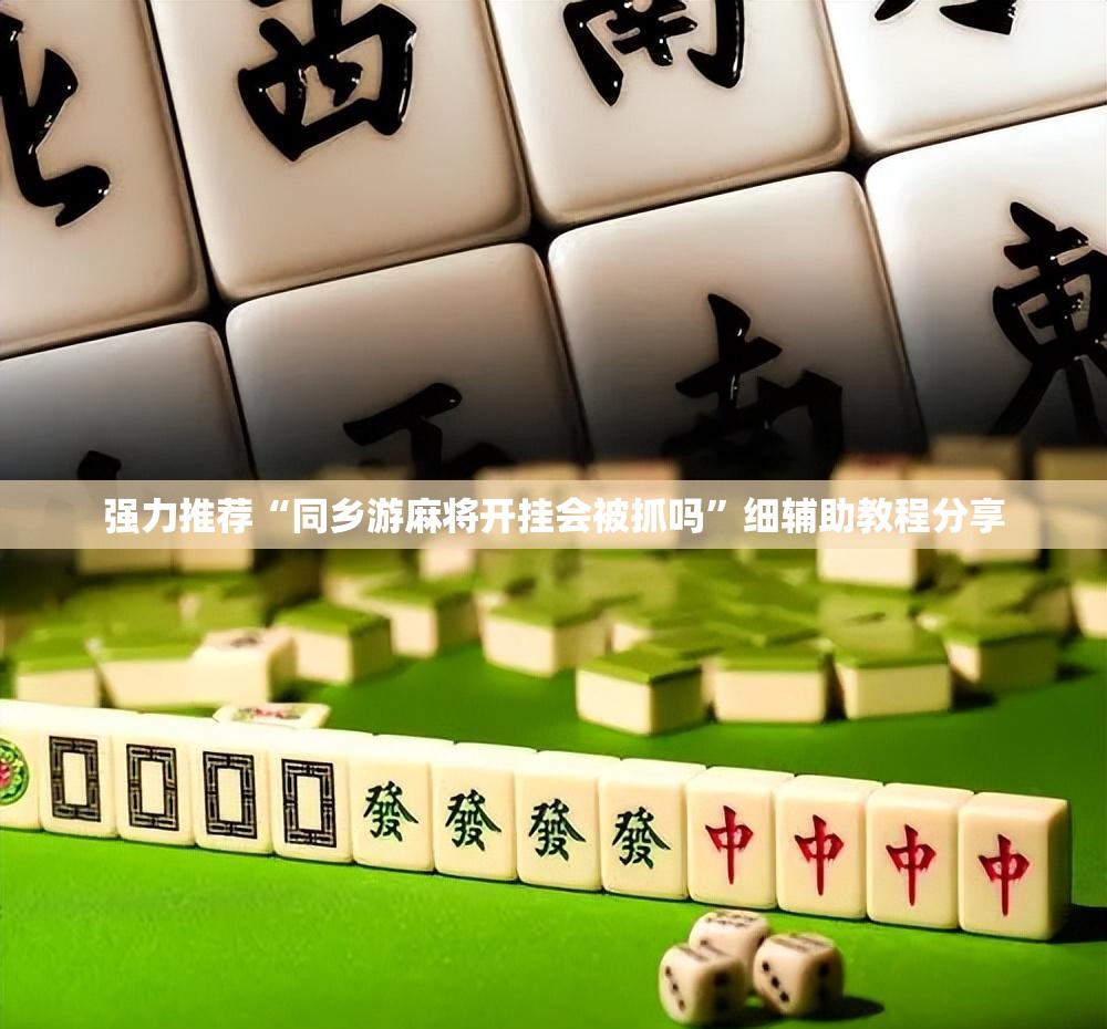 强力推荐“同乡游麻将开挂会被抓吗”细辅助教程分享