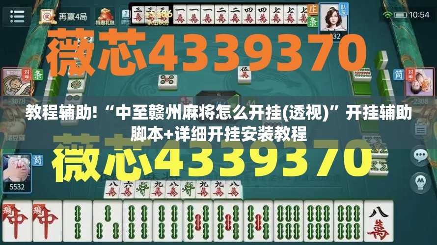 教程辅助!“中至赣州麻将怎么开挂(透视)”开挂辅助脚本+详细开挂安装教程