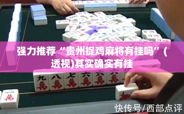 强力推荐“贵州捉鸡麻将有挂吗”(透视)其实确实有挂