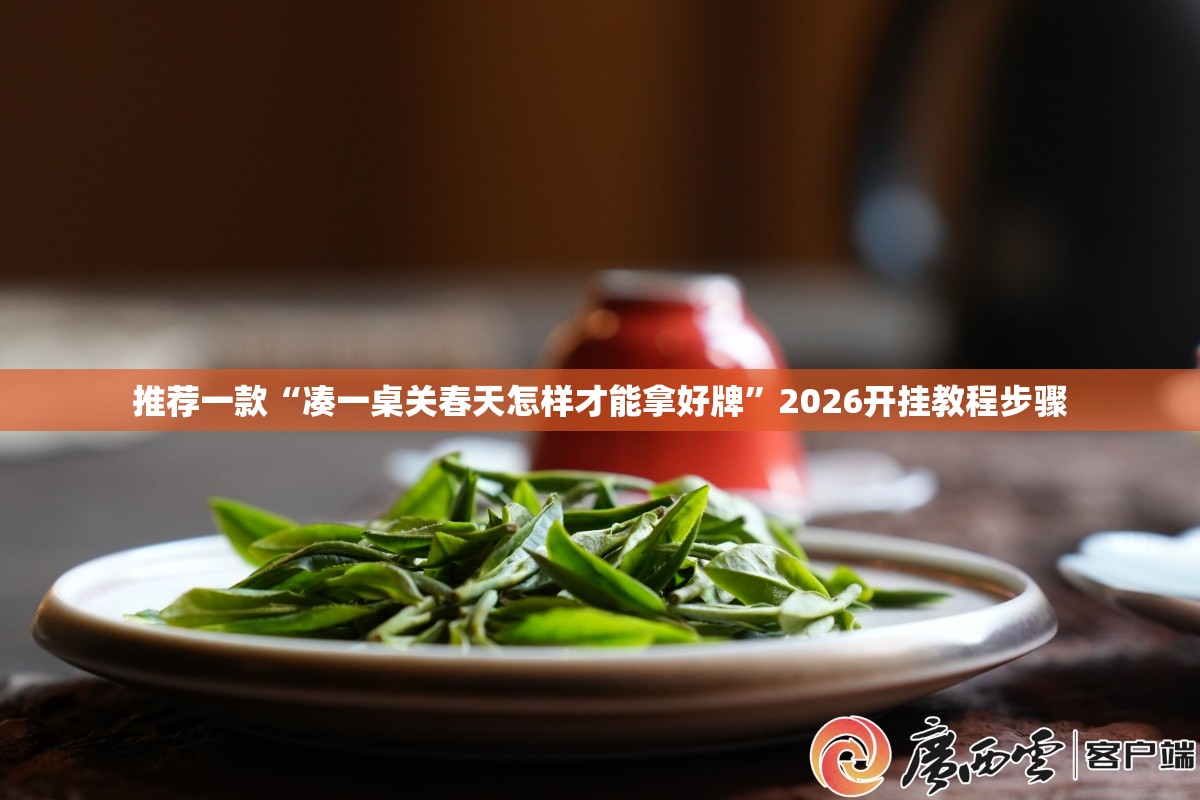 推荐一款“凑一桌关春天怎样才能拿好牌”2026开挂教程步骤