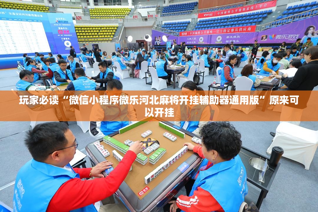 玩家必读“微信小程序微乐河北麻将开挂辅助器通用版	”原来可以开挂