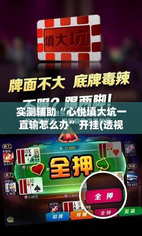 实测辅助“心悦填大坑一直输怎么办”开挂(透视)最新辅助详细