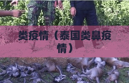 类疫情（泰国类鼻疫情）