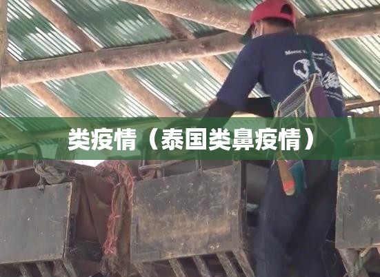 类疫情（泰国类鼻疫情）