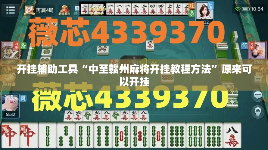 开挂辅助工具“中至赣州麻将开挂教程方法	”原来可以开挂