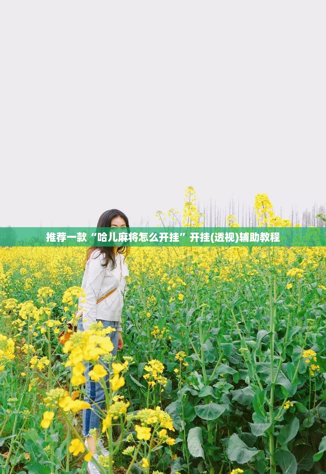 推荐一款“哈儿麻将怎么开挂”开挂(透视)辅助教程