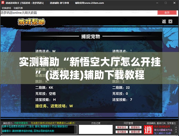 实测辅助“新悟空大厅怎么开挂”(透视挂)辅助下载教程