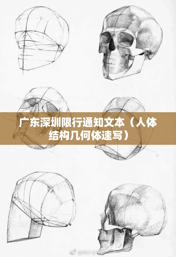 广东深圳限行通知文本(人体结构几何体速写) 广东深圳限行通知文本(人体结构几何体速写)
