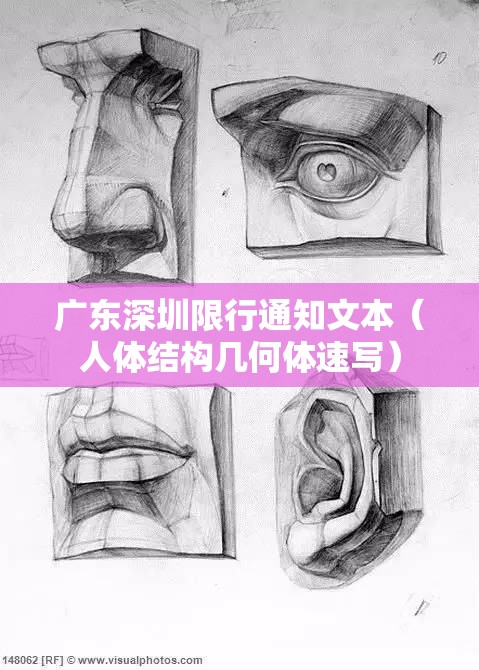广东深圳限行通知文本(人体结构几何体速写) 广东深圳限行通知文本(人体结构几何体速写)