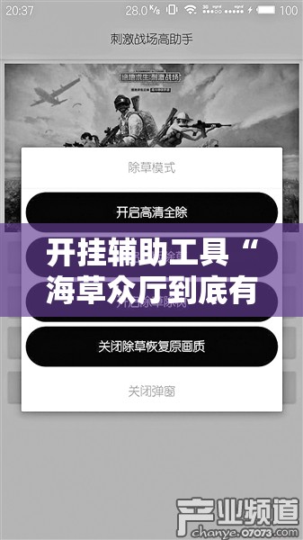 开挂辅助工具“海草众厅到底有没有挂”开挂详细教程