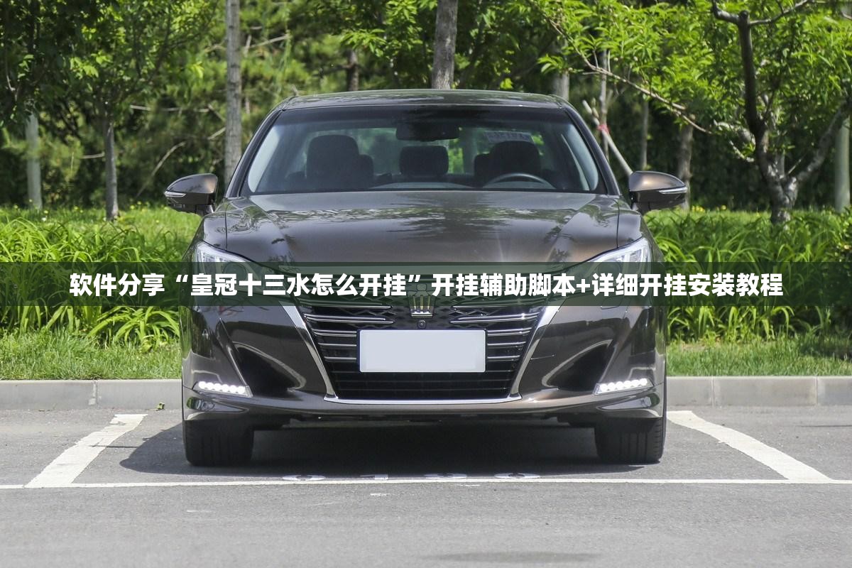 软件分享“皇冠十三水怎么开挂”开挂辅助脚本+详细开挂安装教程