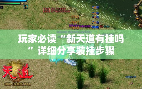 玩家必读“新天道有挂吗	”详细分享装挂步骤