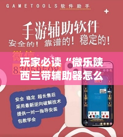 玩家必读“微乐陕西三带辅助器怎么安装(透视)”开挂辅助脚本+详细开挂安装教程