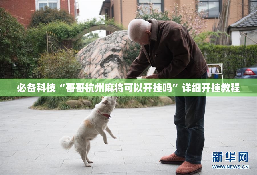 必备科技“哥哥杭州麻将可以开挂吗	”详细开挂教程