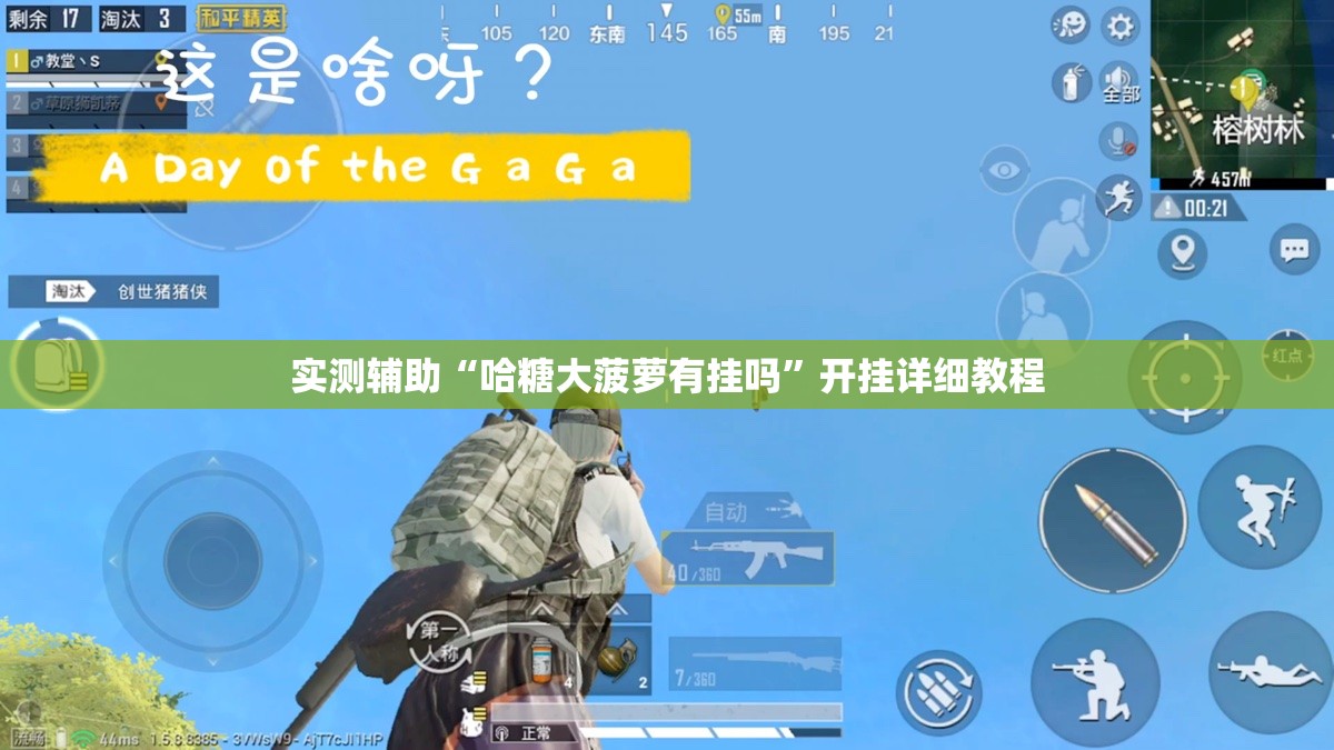 实测辅助“哈糖大菠萝有挂吗”开挂详细教程