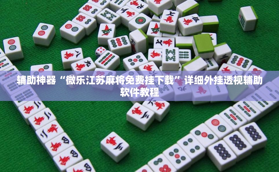辅助神器“微乐江苏麻将免费挂下载”详细外挂透视辅助软件教程