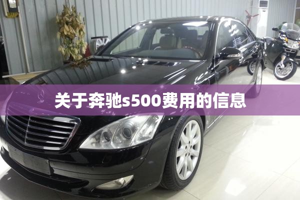 关于奔驰s500费用的信息 关于奔驰s500费用的信息