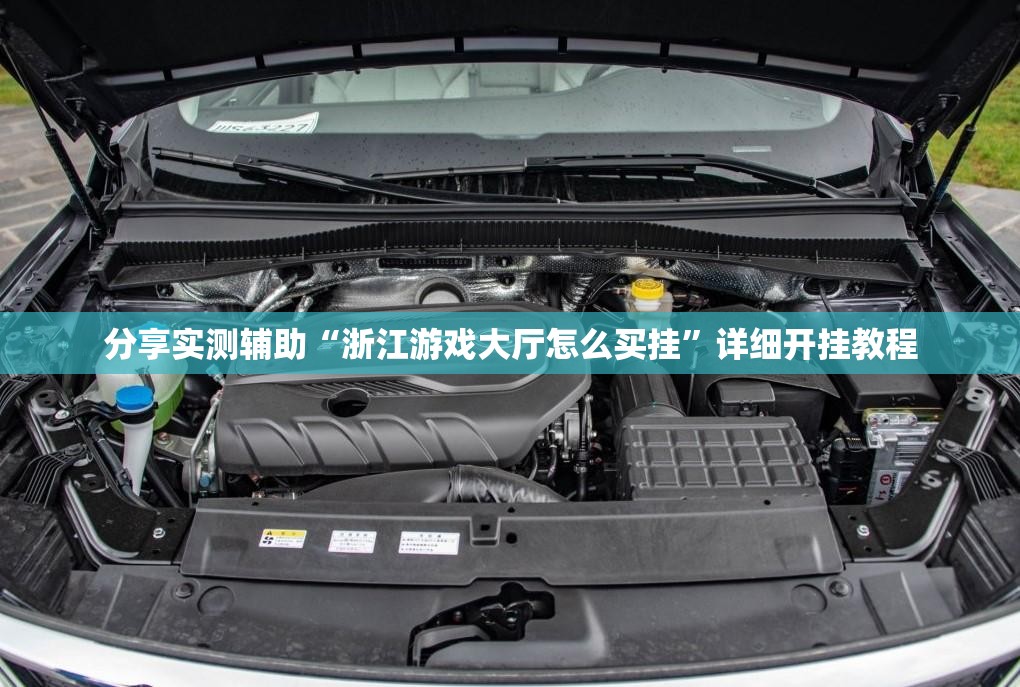 分享实测辅助“浙江游戏大厅怎么买挂”详细开挂教程