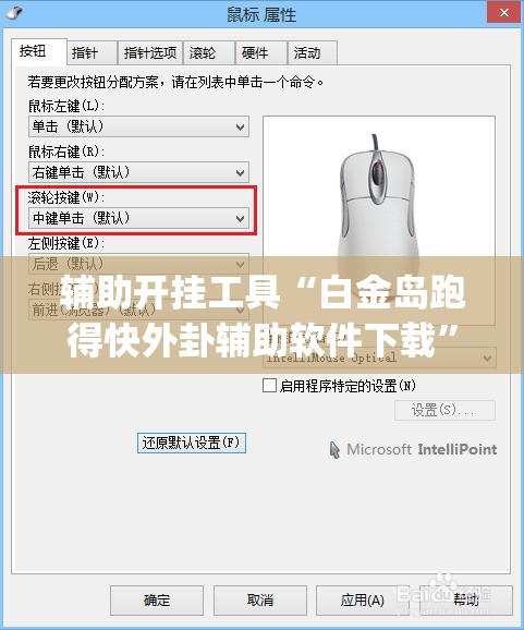 辅助开挂工具“白金岛跑得快外卦辅助软件下载”开挂(透视)辅助教程
