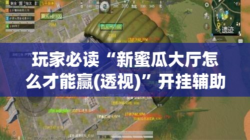 玩家必读“新蜜瓜大厅怎么才能赢(透视)	”开挂辅助脚本+详细开挂安装教程