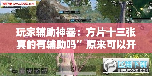玩家辅助神器：方片十三张真的有辅助吗”原来可以开挂