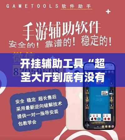 开挂辅助工具“超圣大厅到底有没有挂	”开挂(透视)辅助神器