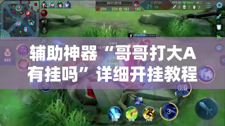 辅助神器“哥哥打大A有挂吗	”详细开挂教程