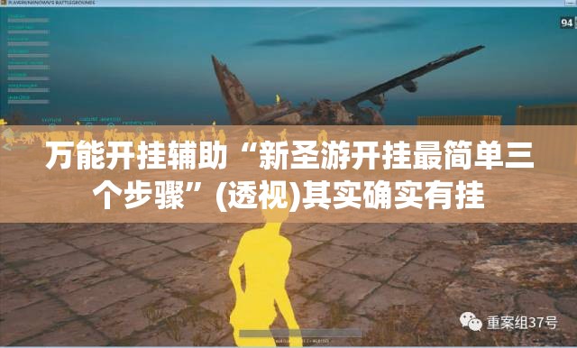 万能开挂辅助“新圣游开挂最简单三个步骤”(透视)其实确实有挂