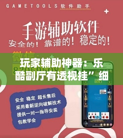 玩家辅助神器：乐酷副厅有透视挂”细辅助教程分享