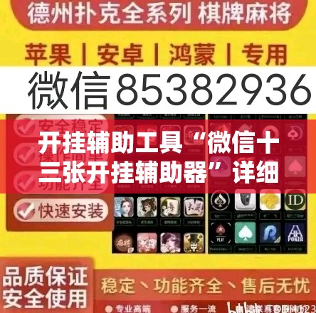 开挂辅助工具“微信十三张开挂辅助器	”详细开挂教程
