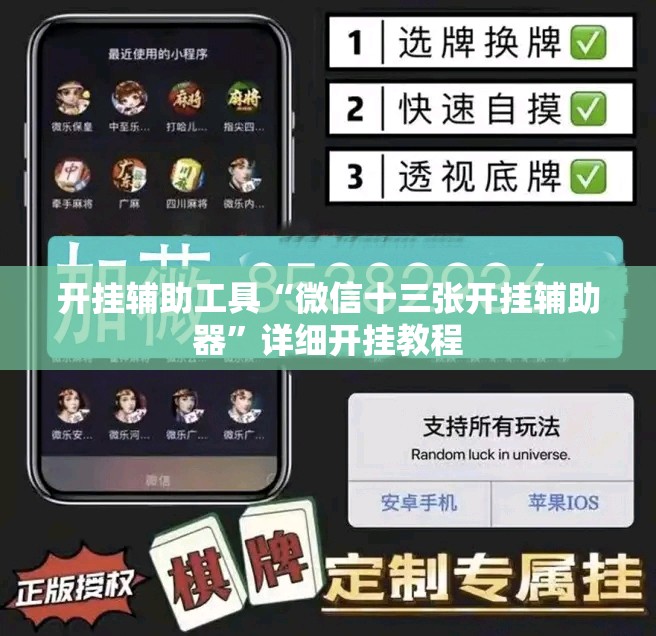 开挂辅助工具“微信十三张开挂辅助器”详细开挂教程